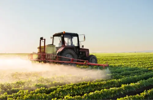 Crop prices soar as seed shortages deepen